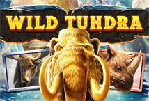 Wild Tundra